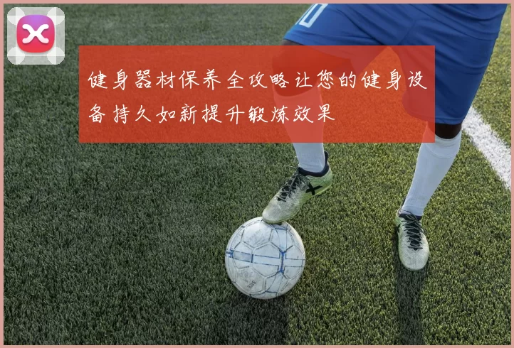 健身器材保养全攻略让您的健身设备持久如新提升锻炼效果